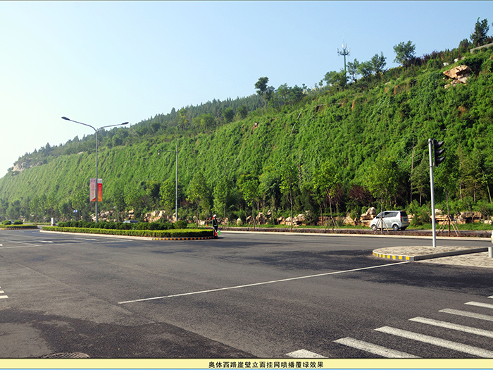 济南市奥体东路、奥体西路绿化设计