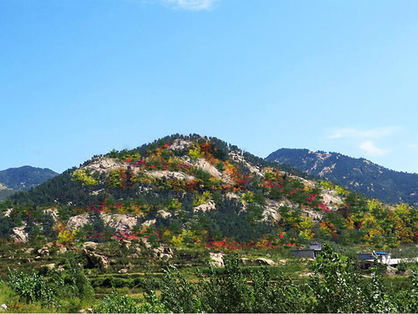蒙山旅游度假区山体绿化彩化规划设计
