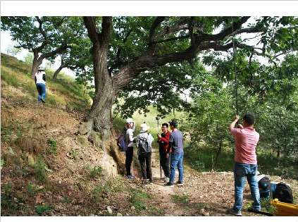 济南南部山区古树名木调查    