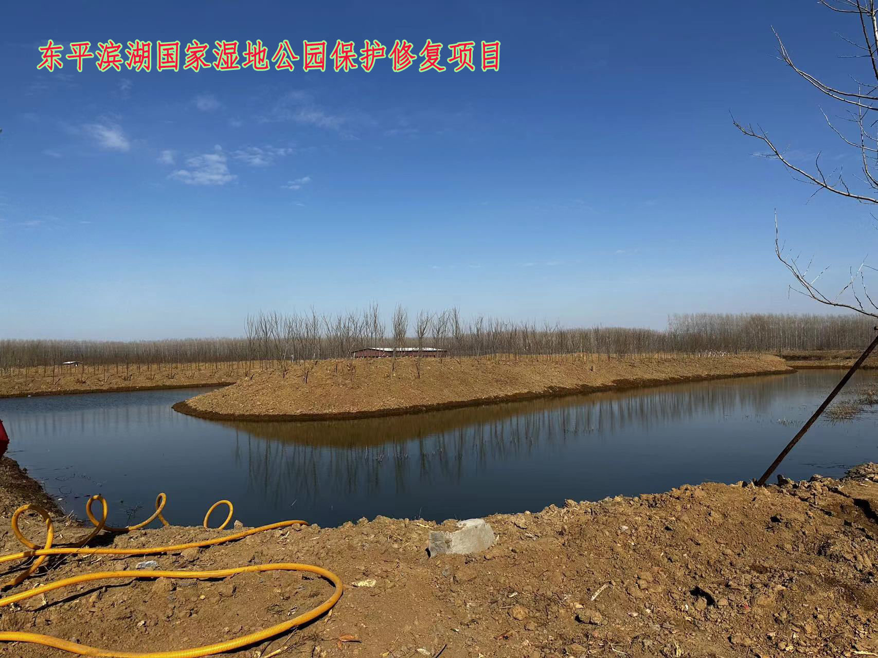 东平滨湖国家湿地公园保护修复项目.jpg